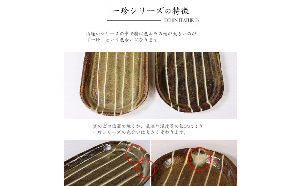 信楽焼 山逢い楕円長皿（大） サンマ皿 陶器 【一珍】