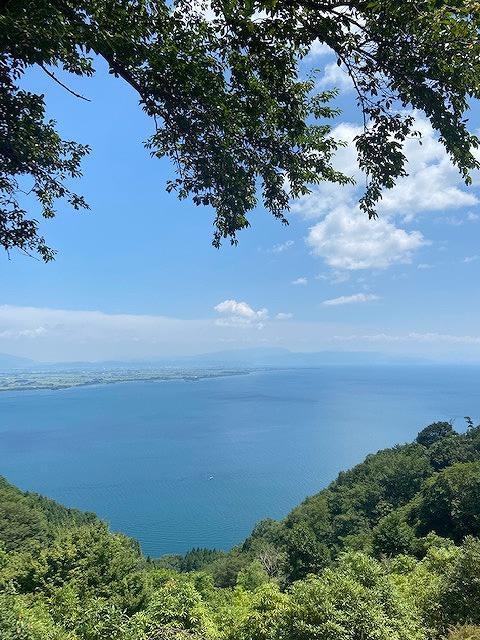 朝採り 旬のぶどう おまかせセット 1.0kg～1.2kg【2026年発送】