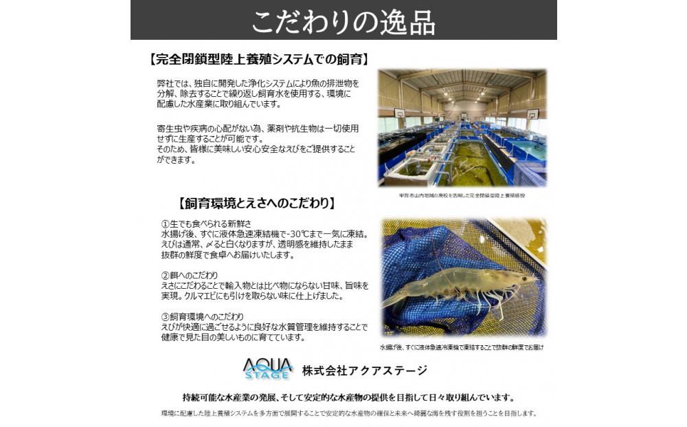 甲賀水晶えび 200g × 3パック