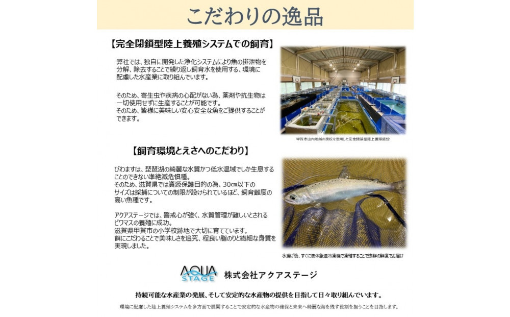 甲賀びわます “ささゆり”　 天ぷらサイズ 5尾入り×4パック