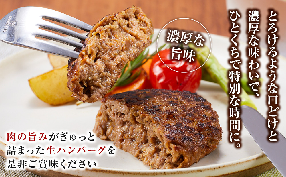 近江牛 生ハンバーグ 120g×5個入