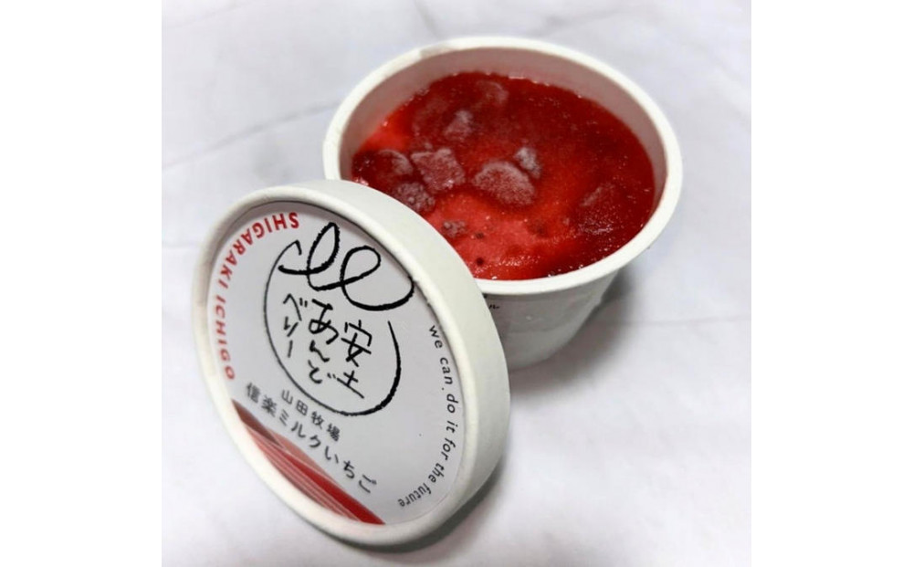 アイスクリーム詰め合わせ12個入り 山田牧場の低脂肪牛乳を使ったカップアイス（プレーン、ストロベリー、抹茶）