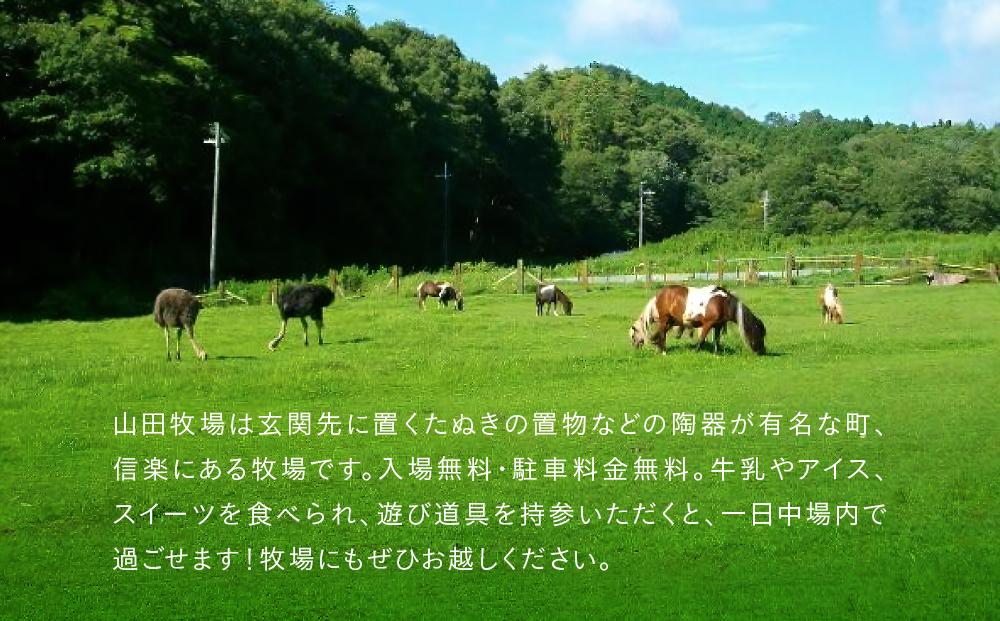 山田牧場 贅沢チーズケーキ2本セット