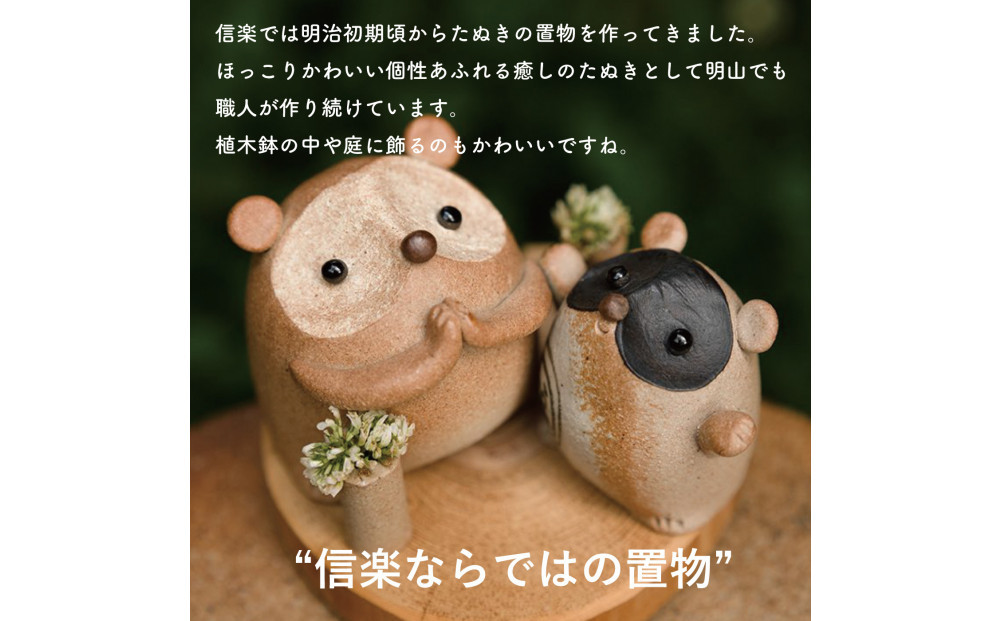 【信楽焼・明山】おねがいたぬき(小)　hc-15