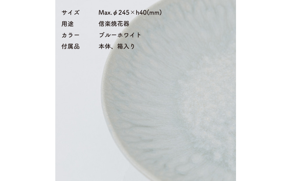 [HIJICA]MELLOW_ディナープレート24cm　ブルーホワイト　HJC-04BW