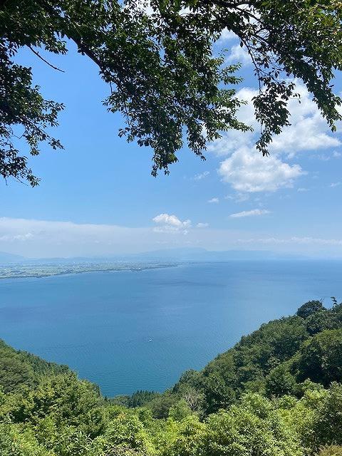 朝採り 旬のぶどう シャインマスカット 2房セット 1.0kg～1.2kg【2026年発送】