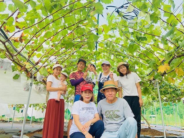 朝採り 旬のぶどう おまかせセット 1.0kg～1.2kg【2026年発送】