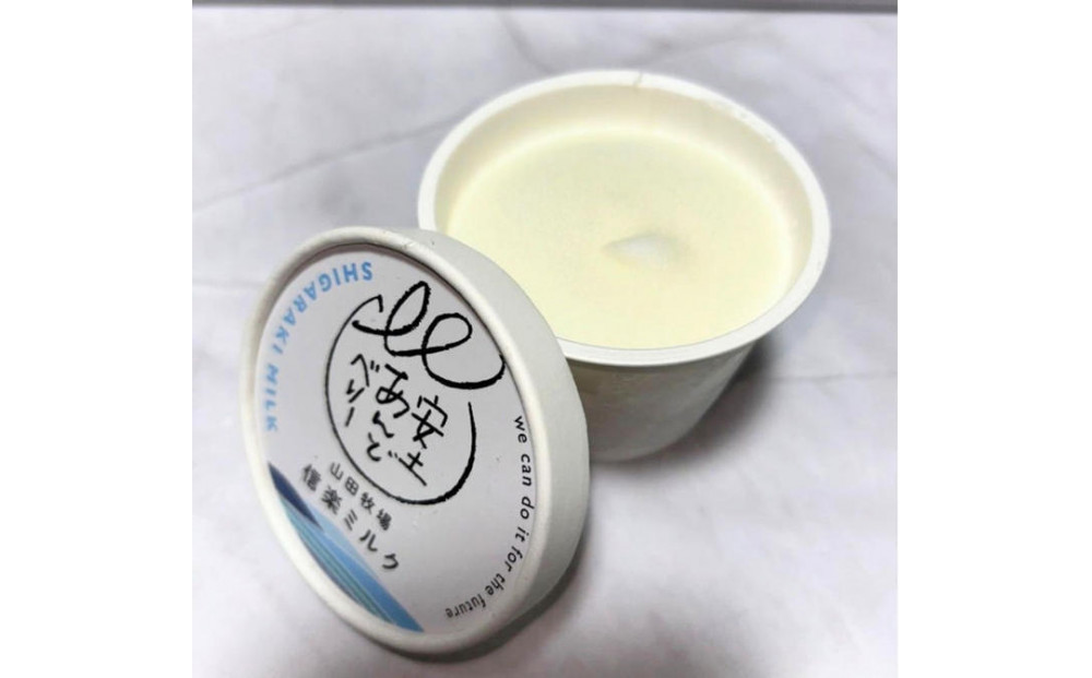 アイスクリーム詰め合わせ12個入り 山田牧場の低脂肪牛乳を使ったカップアイス（プレーン、ストロベリー、抹茶）