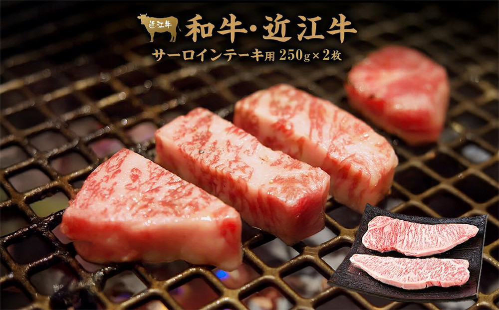 【12/10までの決済完了で年内発送】近江牛サーロイン ステーキ 250g×2枚