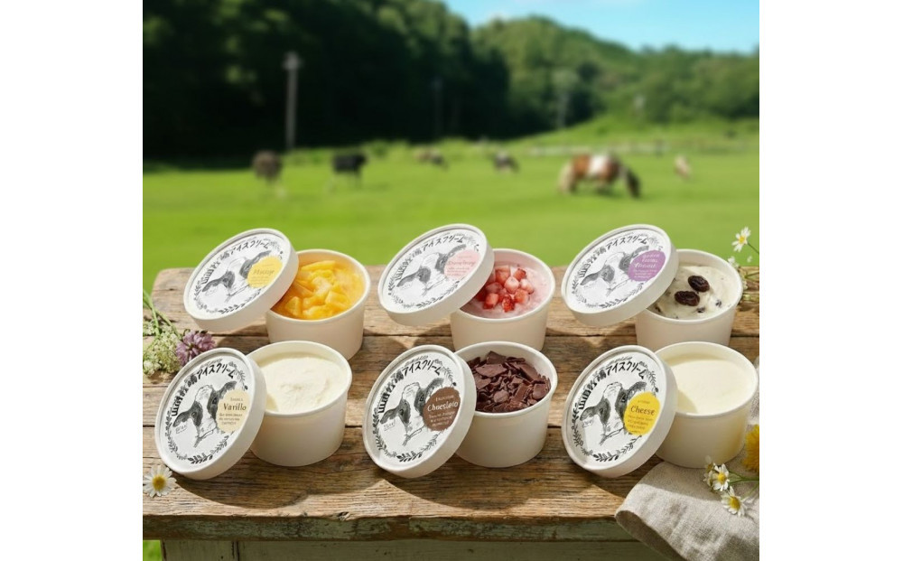 山田牧場 アイスクリーム 12コ入り