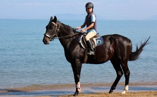 乗馬体験1回コース（30分）