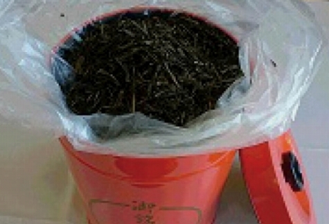 朝宮ほうじ茶 1本缶入