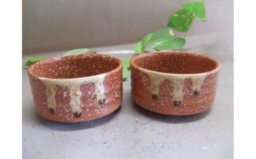 【信楽焼】緋色小鉢2個セット うつわ　　　nwu-029
