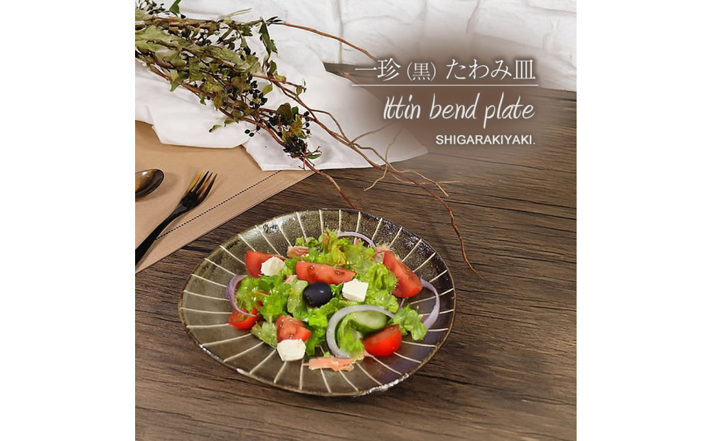 信楽焼 山逢いシリーズ たわみパスタ皿（大） 陶器 【一珍】