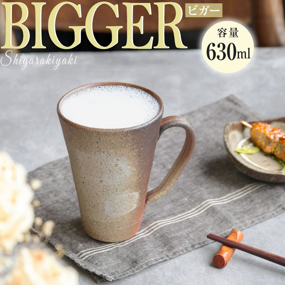 信楽焼 ビアジョッキ ソリ型マグカップ 630ml（火色刷毛目）