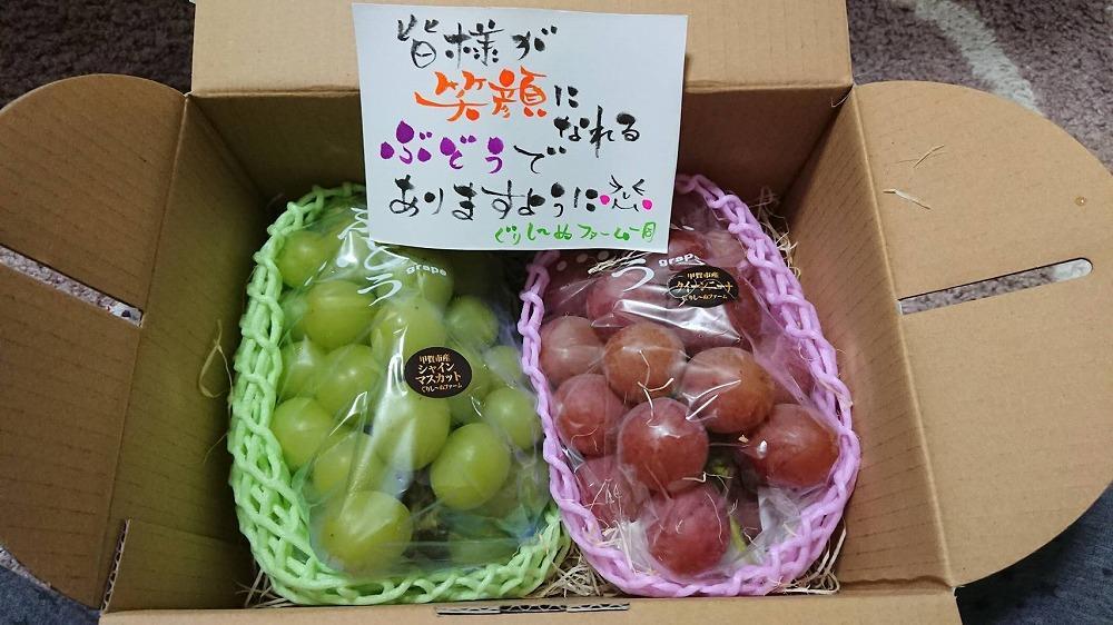 朝採り 旬のぶどう 2色セット 1.0kg～1.2kg（シャインマスカット入り)【2026年発送】
