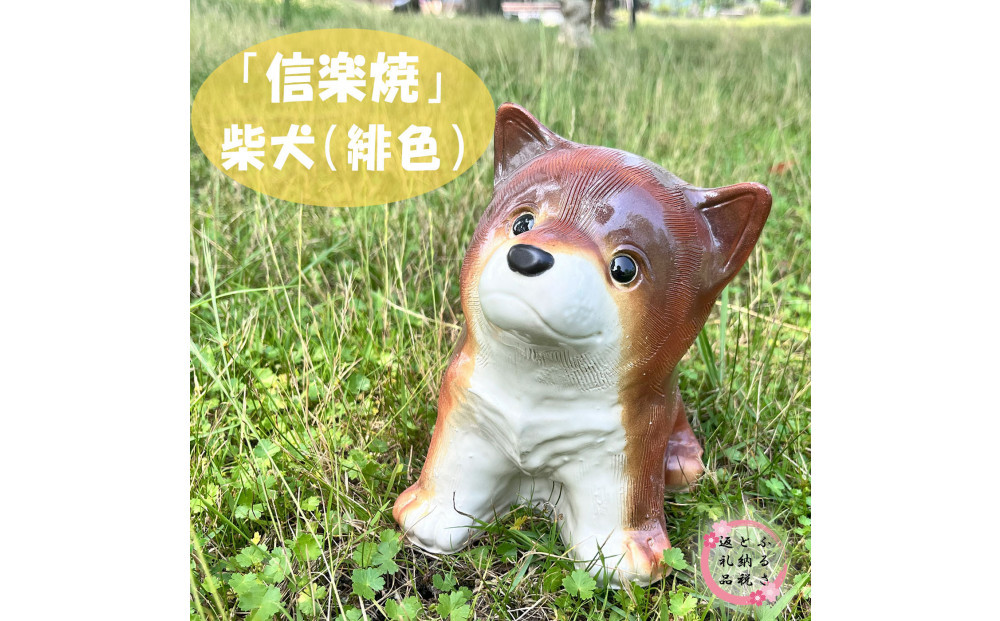 信楽焼　信楽焼 豆柴犬（茶）