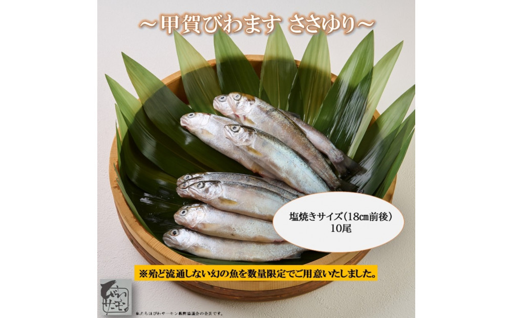 甲賀びわます “ささゆり”　塩焼きサイズ 5尾入り×2パック