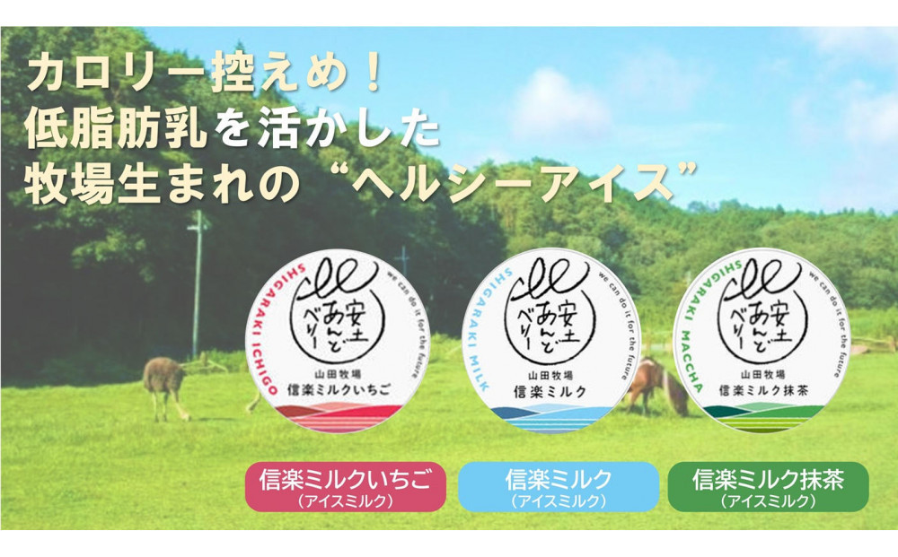 アイスクリーム詰め合わせ12個入り 山田牧場の低脂肪牛乳を使ったカップアイス（プレーン、ストロベリー、抹茶）