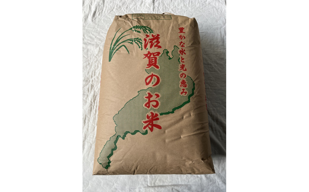 【令和7年産】近江米コシヒカリ玄米30kg