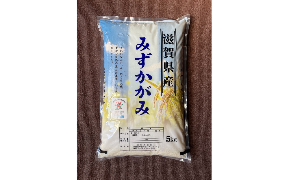 【令和7年産】近江米みずかがみ白米5kg