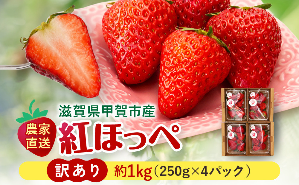 いちご　紅ほっぺ　訳アリ1kg（250g×4パック）