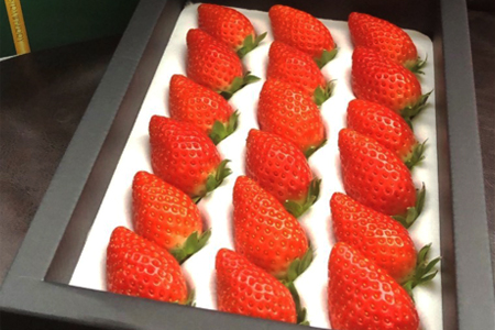 [贈答用] 滋賀県湖南市産 摘みたて完熟 いちご [0169]