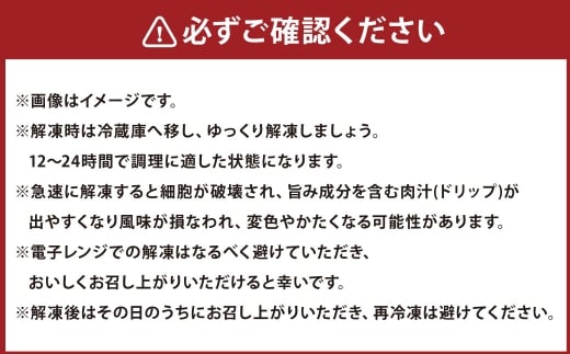 自家特製手造りハンバーグ「近江牡丹」約120g×8個