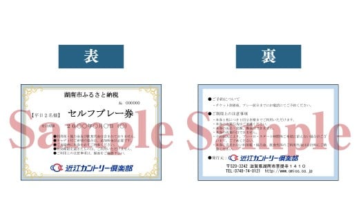 平日2名様 セルフプレー券