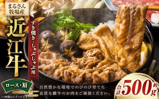 【まるさん牧場産】近江牛ロース・肩すき焼きしゃぶしゃぶ用約500g
