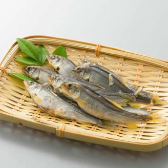 【B-743】近江高島鮎池元 吉本 子持ち小鮎丸干し ［高島屋選定品］