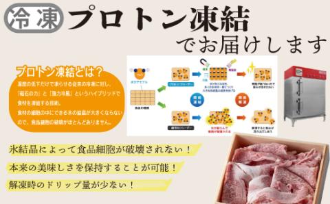 【A-353】宝牧場 近江牛 ハラミ焼肉用 500ｇ［高島屋選定品］