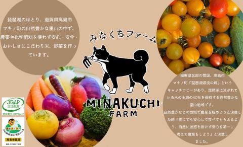 【C-103】みなくちファーム　オーガニックもち米　滋賀羽二重糯　有機もち精米　2kg［高島屋選定品］