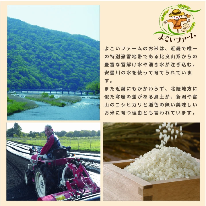 【C-547】【令和7年産　新米】よこいファーム 特別栽培米コシヒカリＢ　20kg（5kg×4） ［高島屋選定品］
