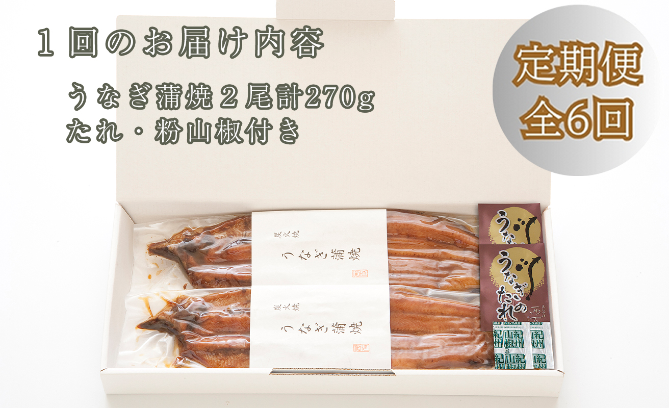 定期便6回【B-828】近江今津 西友 うなぎ炭火焼蒲焼 2尾／計約270ｇ［高島屋選定品］
