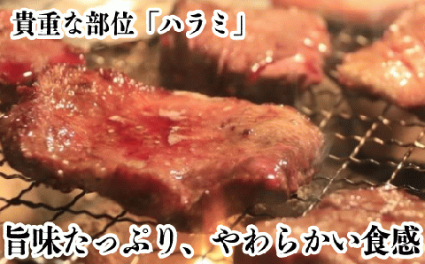 【A-354】宝牧場 近江牛 ハラミ焼肉用 1kg［高島屋選定品］