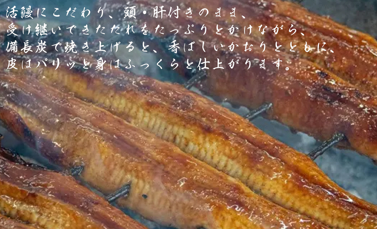 【B-748】近江高島鮎池元 吉本 活鰻三昧［高島屋選定品］