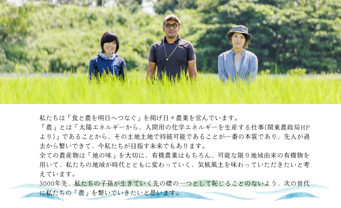 【C-300】針江のんきぃふぁーむ　有機栽培 古代五色米　150g×5パック ［高島屋選定品］