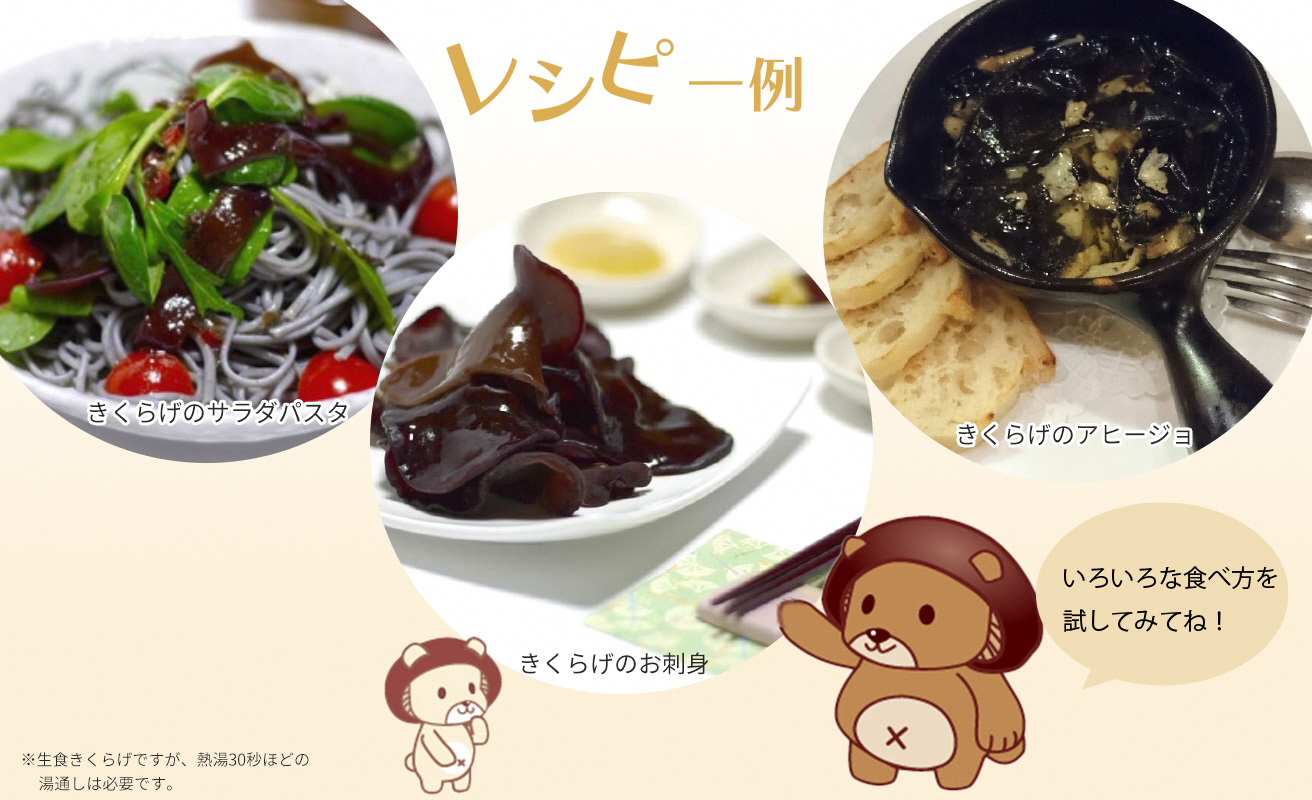 【D-709】共栄精密　淡海きのこ　生きのこセット 生きくらげ・生しいたけ（よかもんパッケージ入り）［高島屋選定品］