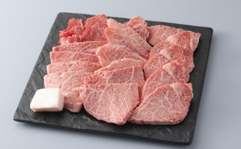【A-341】 宝牧場 近江牛ヒレ焼肉用 500g［高島屋選定品］