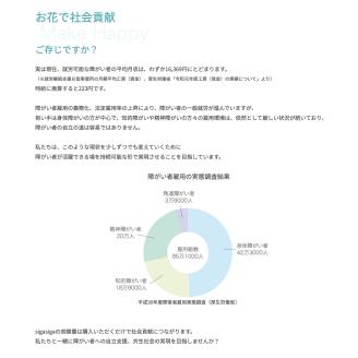 大輪胡蝶蘭 白 5本立ち　ハイグレードタイプ　AG09　綾羽株式会社