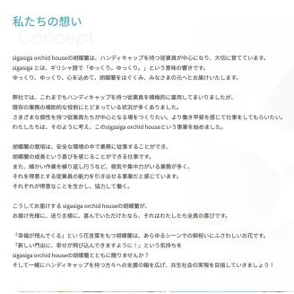 大輪胡蝶蘭 白 1本立ち　B-H06　綾羽株式会社