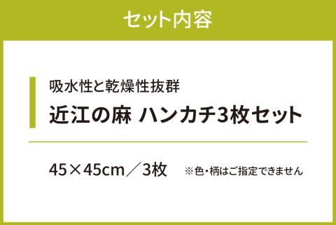 近江の麻ハンカチ3枚セット 麻絲商会 滋賀県 東近江市 A-C01 リネン 吸水 速乾 肌触り ギフト プレゼント 天然素材 日本製 上質 普段使い
