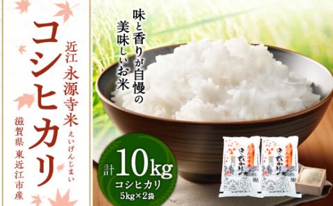近江永源寺米コシヒカリ 株式会社カネキチ 滋賀県 東近江市 C-D31 米 コシヒカリ 10kg 滋賀県産 白米 精米 産地直送 永源寺 お米