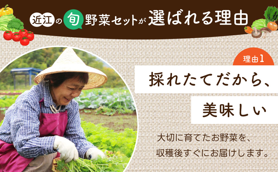 季節の旬野菜セット 産地直送 あいとうマーガレットステーション 滋賀県 東近江市 A51 野菜 詰め合わせ セット 産直 新鮮旬野菜 旬の野菜 お取り寄せ グルメ