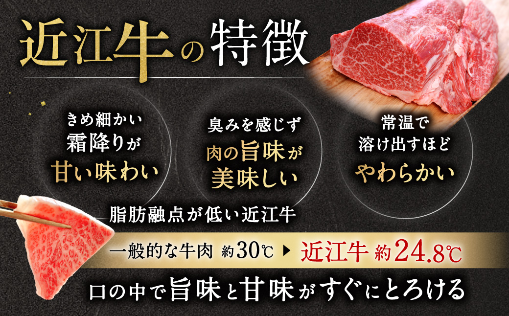 厳選フィレブロック 1kg 安田牧場 滋賀県 東近江市 AF-G01 近江牛 和牛 フィレ肉 ヒレ肉 ブロック 塊肉 ステーキ 焼肉 希少部位 贅沢 ギフト