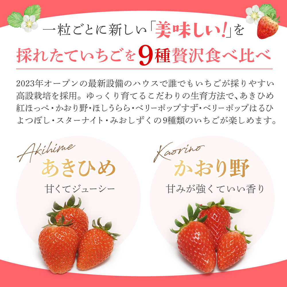 いちご狩りペア入場券 いちご農園ぐっど・べりー 滋賀県 東近江市 B-A12 いちご狩り ペア チケット 滋賀 食べ比べ 9種類 45分間 体験