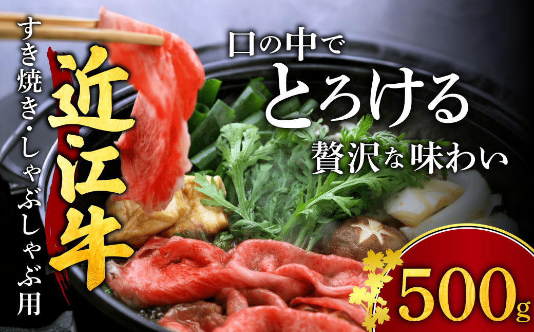 近江牛 すき焼き しゃぶしゃぶ用 もも肉 500ｇ 2～3人前 安田牧場 滋賀県 東近江市 B-B11 ブランド牛 和牛 厳選 肉 赤身 国産 高級 すきやき しゃぶしゃぶ 冷凍 ギフト 贈答 送料無料