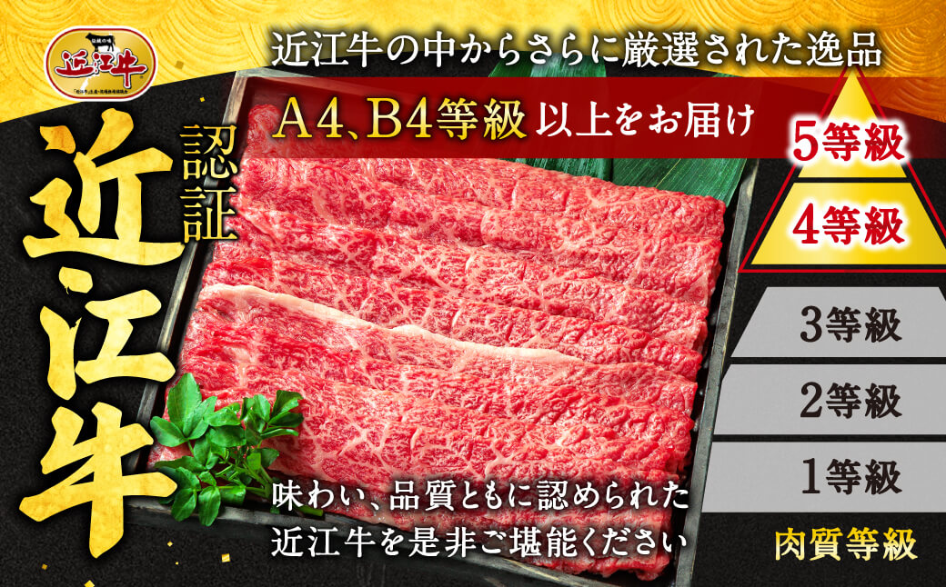 近江牛 希少部位５種 焼肉用 詰合せ 近江牛専門店 万葉 滋賀県 東近江市 B-E06 近江牛 焼肉 希少部位 食べ比べ 詰め合わせ 和牛 霜降り A4 A5 万葉のたれ