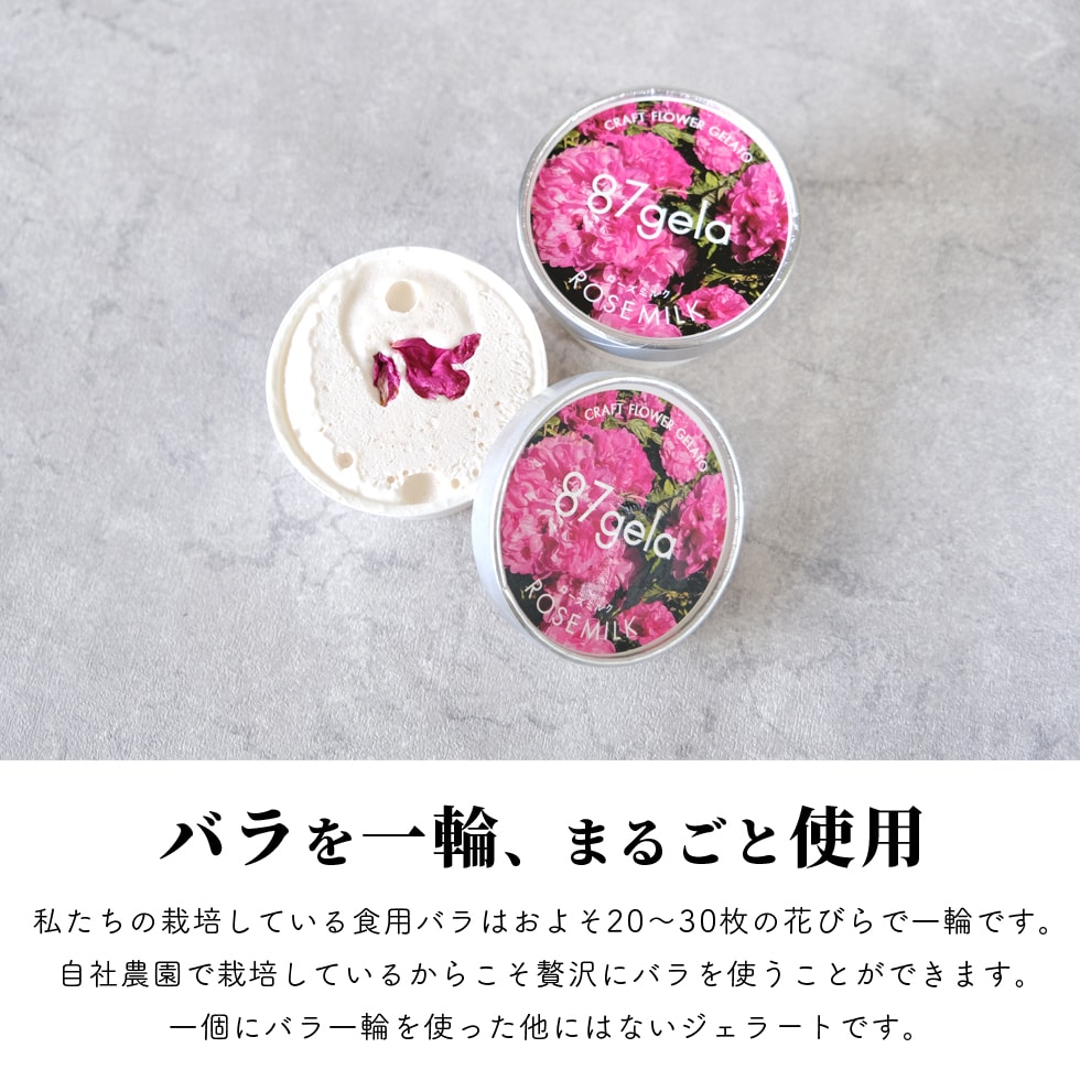 ローズミルクジェラート12個セット 87gela 87株式会社 滋賀県 東近江市 B32 バラ 薔薇 ジェラート アイス スイーツ デザート ギフト プレゼント 香料無添加 着色料無添加 きび砂糖 国産クリーム 本間牧場 牛乳 滋賀県産